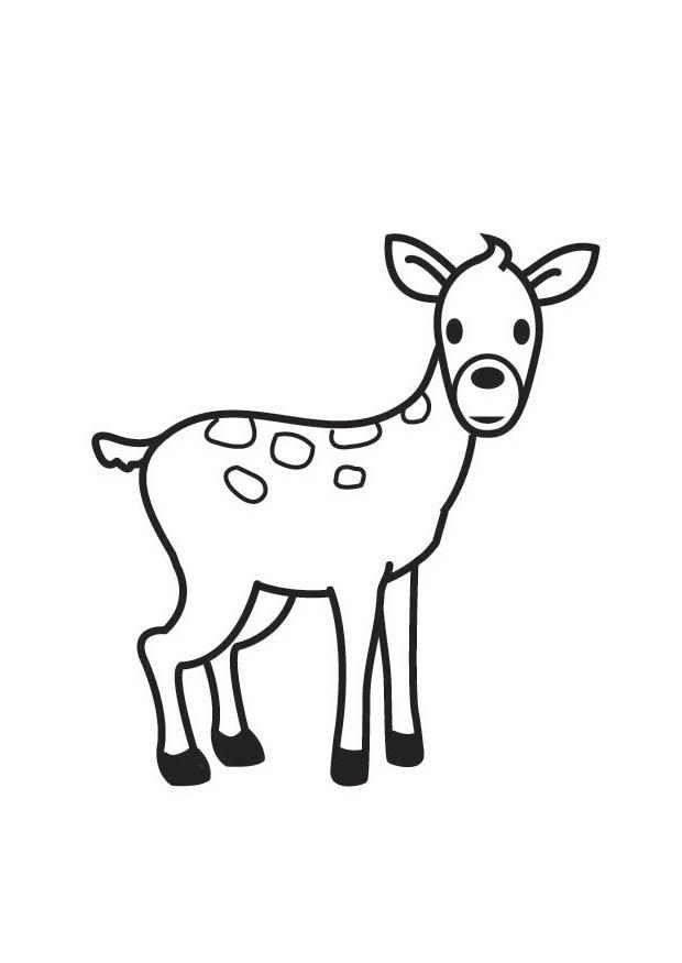 biche Coloriage biche