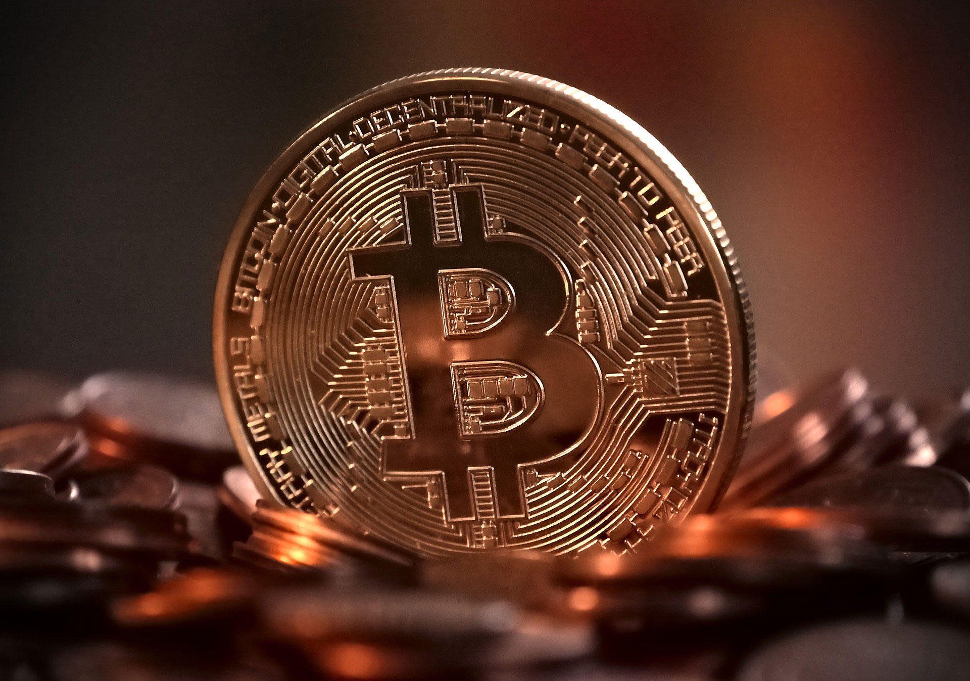 bitcoin Photo bitcoin