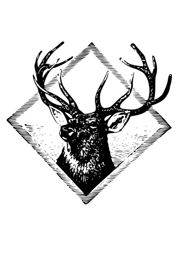 bois de cerf Coloriage bois de cerf