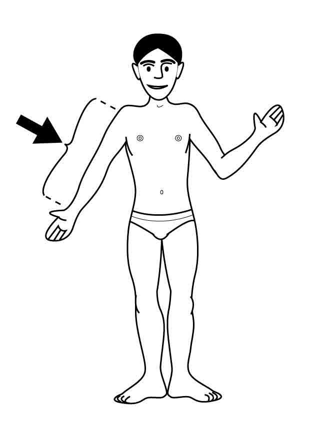 bras Coloriage bras