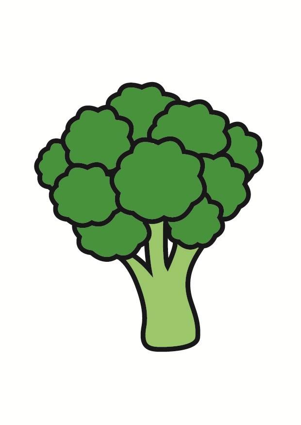 brocolli Image brocolli