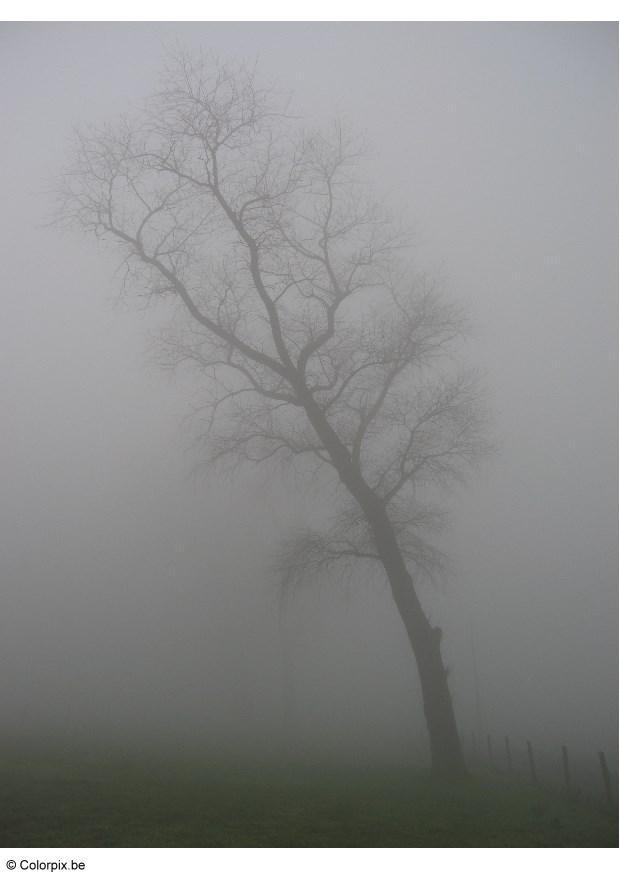 brouillard Photo brouillard