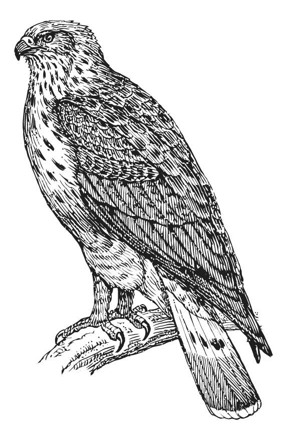 buse variable Coloriage buse variable