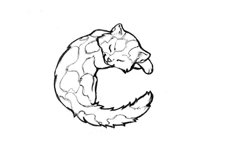 c-cat Coloriage c-cat