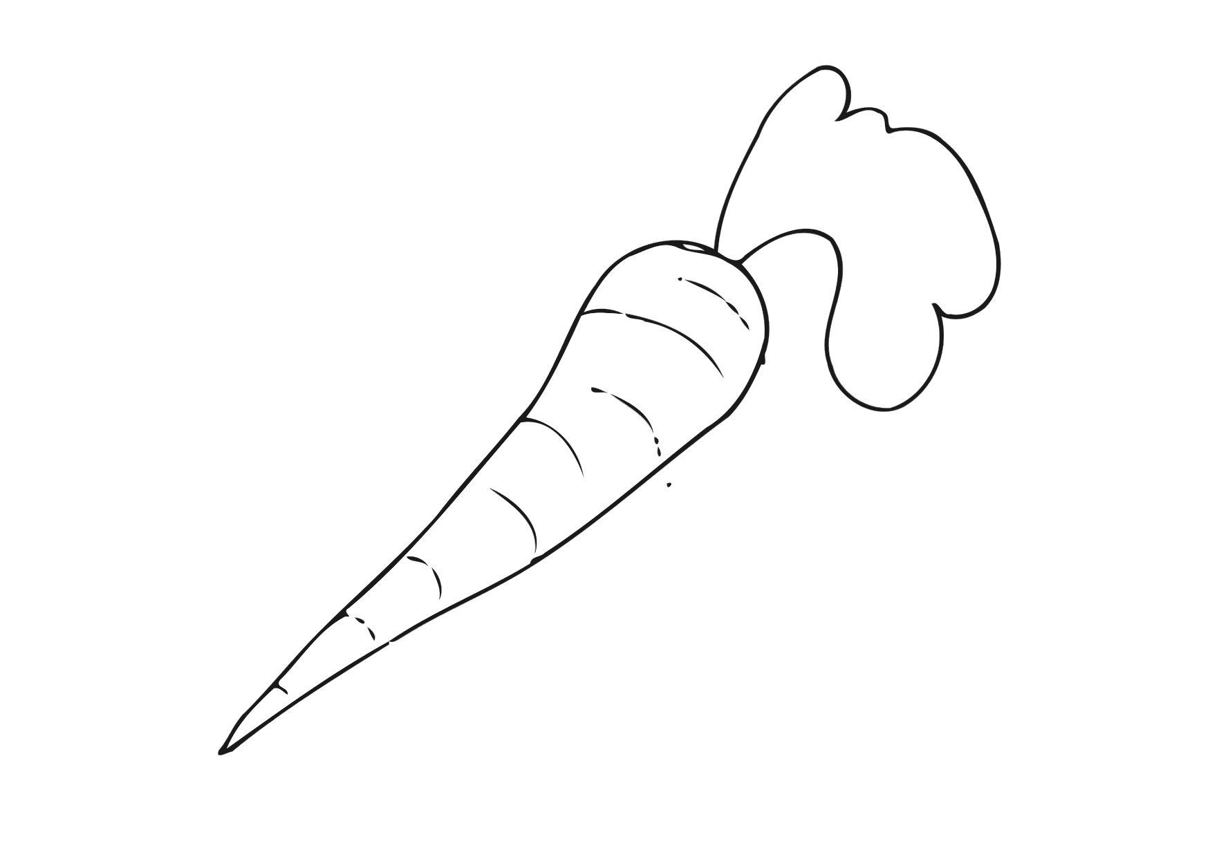 carotte Coloriage carotte