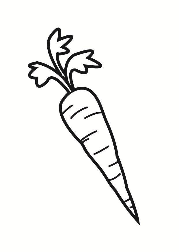 carotte Coloriage carotte