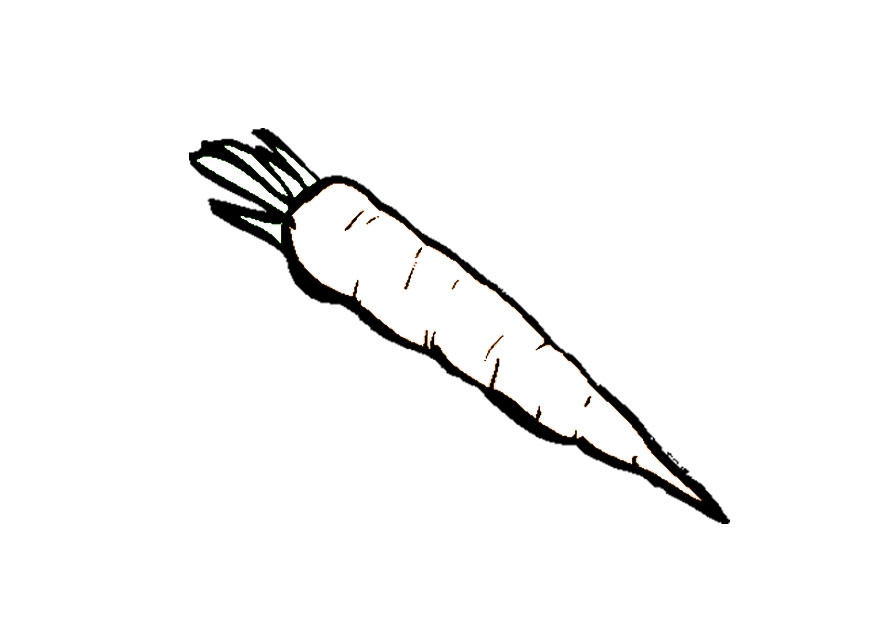carotte Coloriage carotte