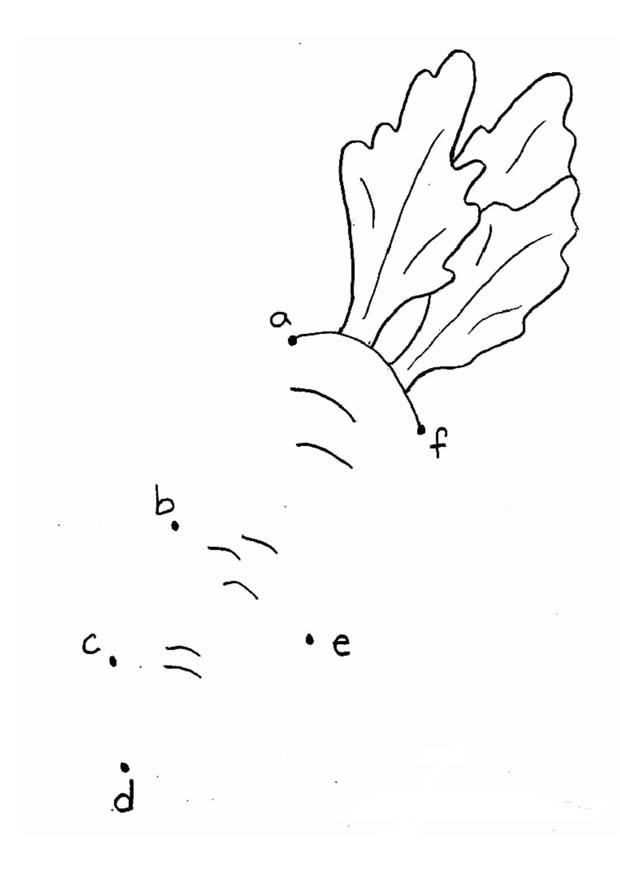 carotte - lettres Coloriage carotte - lettres