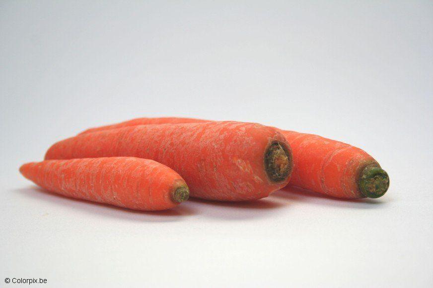 carottes Photo carottes