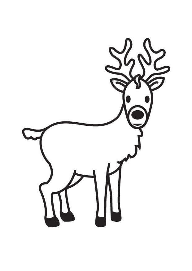 cerf Coloriage cerf