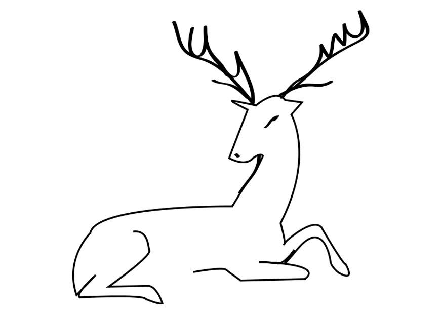 cerf Coloriage cerf
