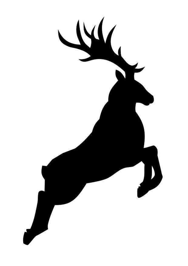 cerf Coloriage cerf
