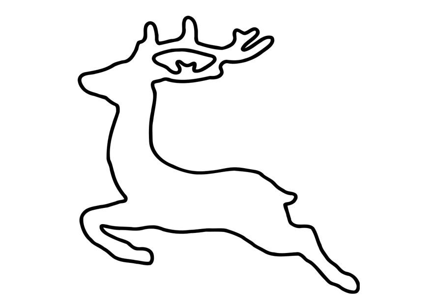 cerf Coloriage cerf