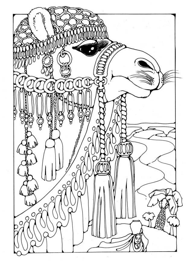 chameau Coloriage chameau