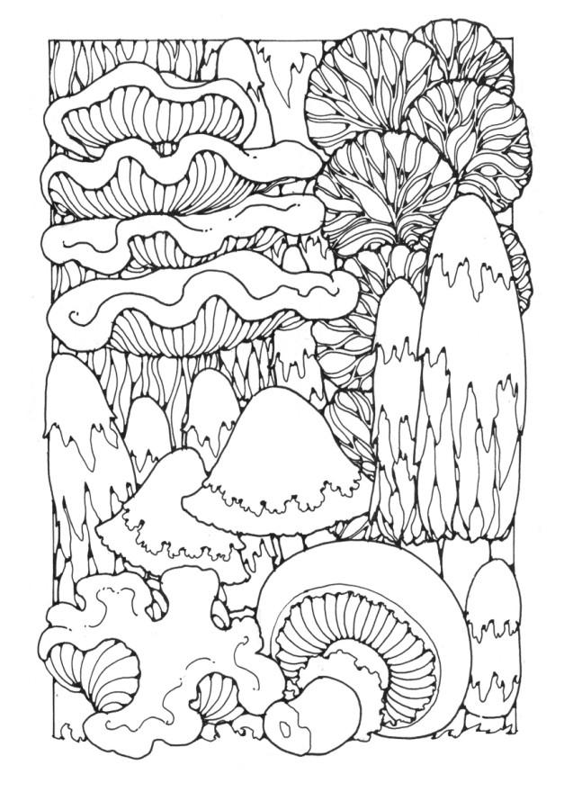 champignons Coloriage champignons