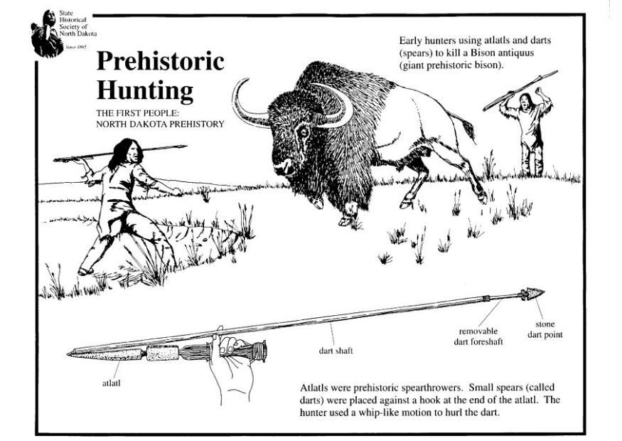 chasse Coloriage chasse