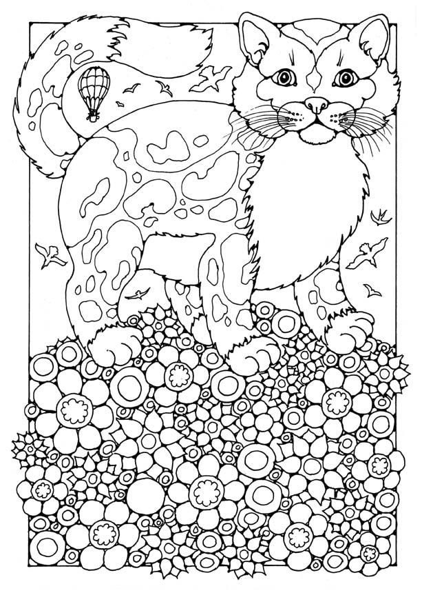 chat Coloriage chat