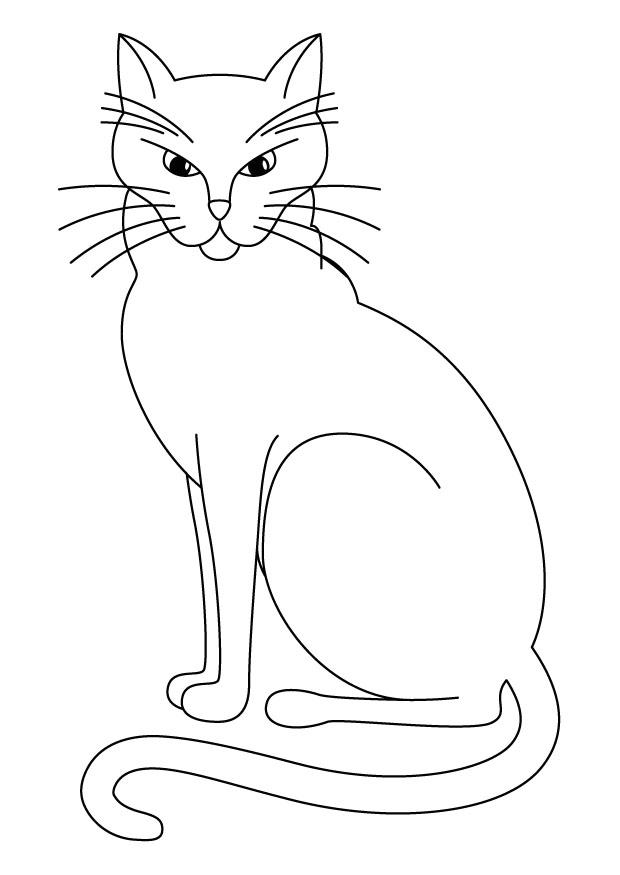 Coloriage chat