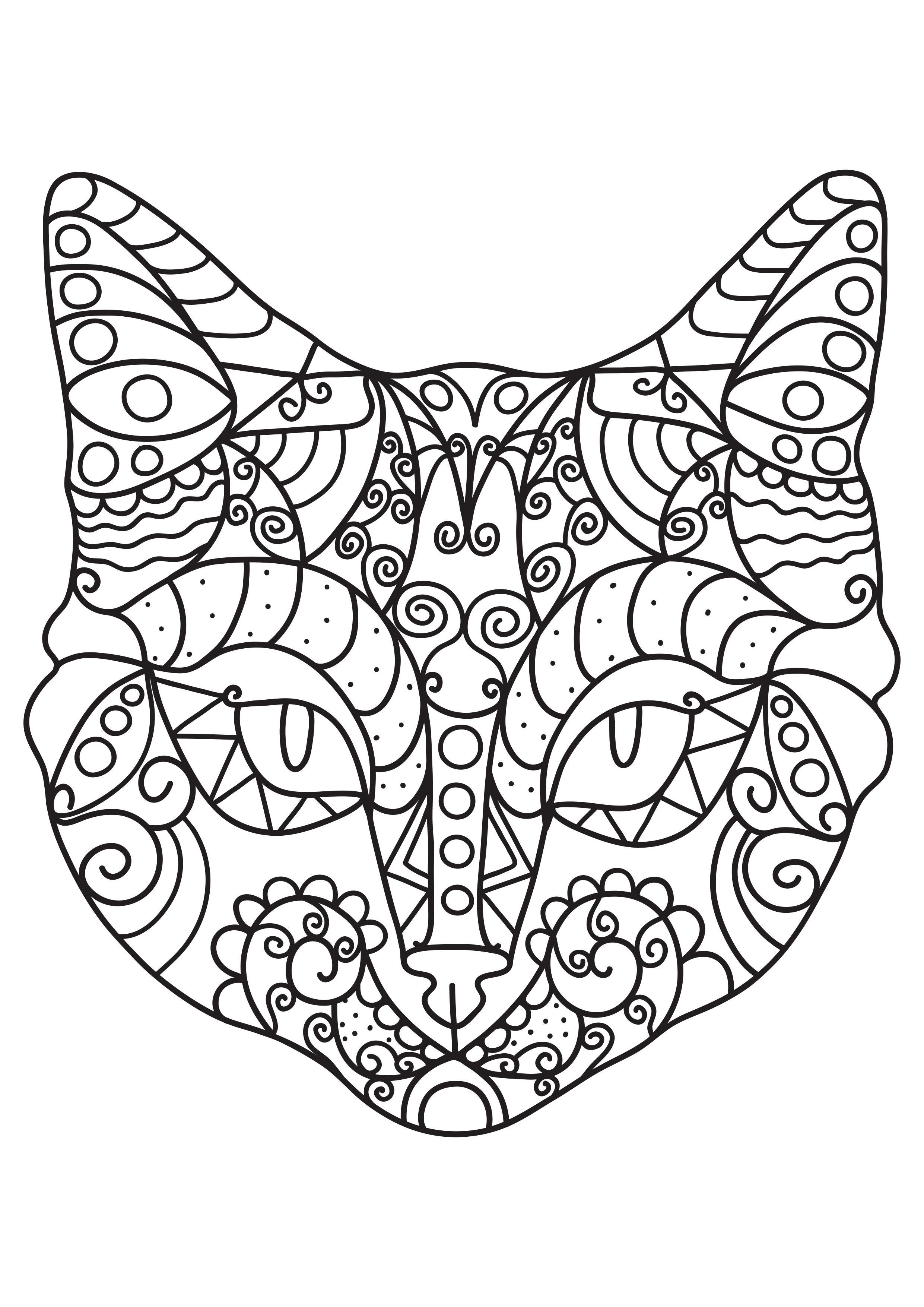 chat Coloriage chat