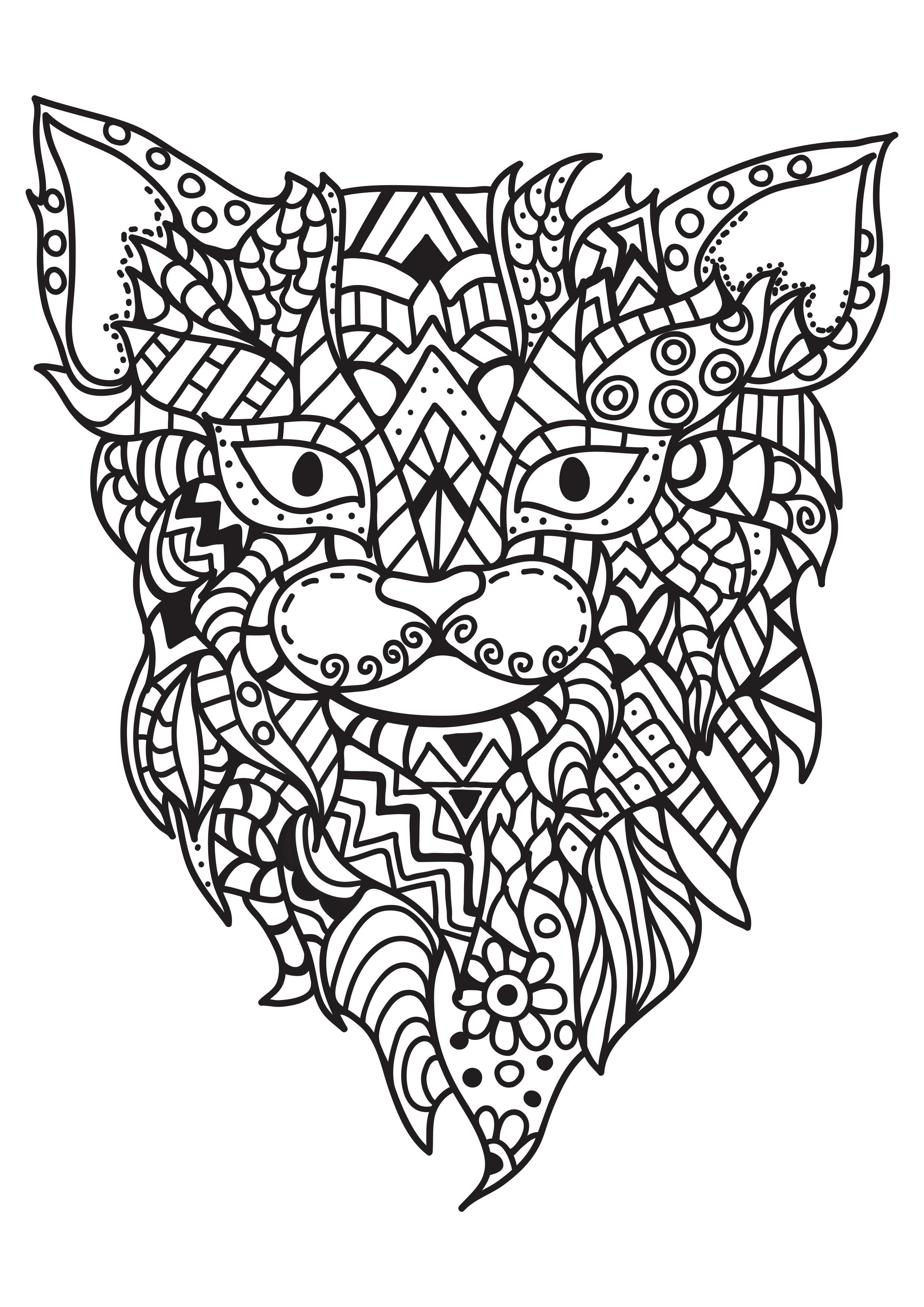 chat Coloriage chat