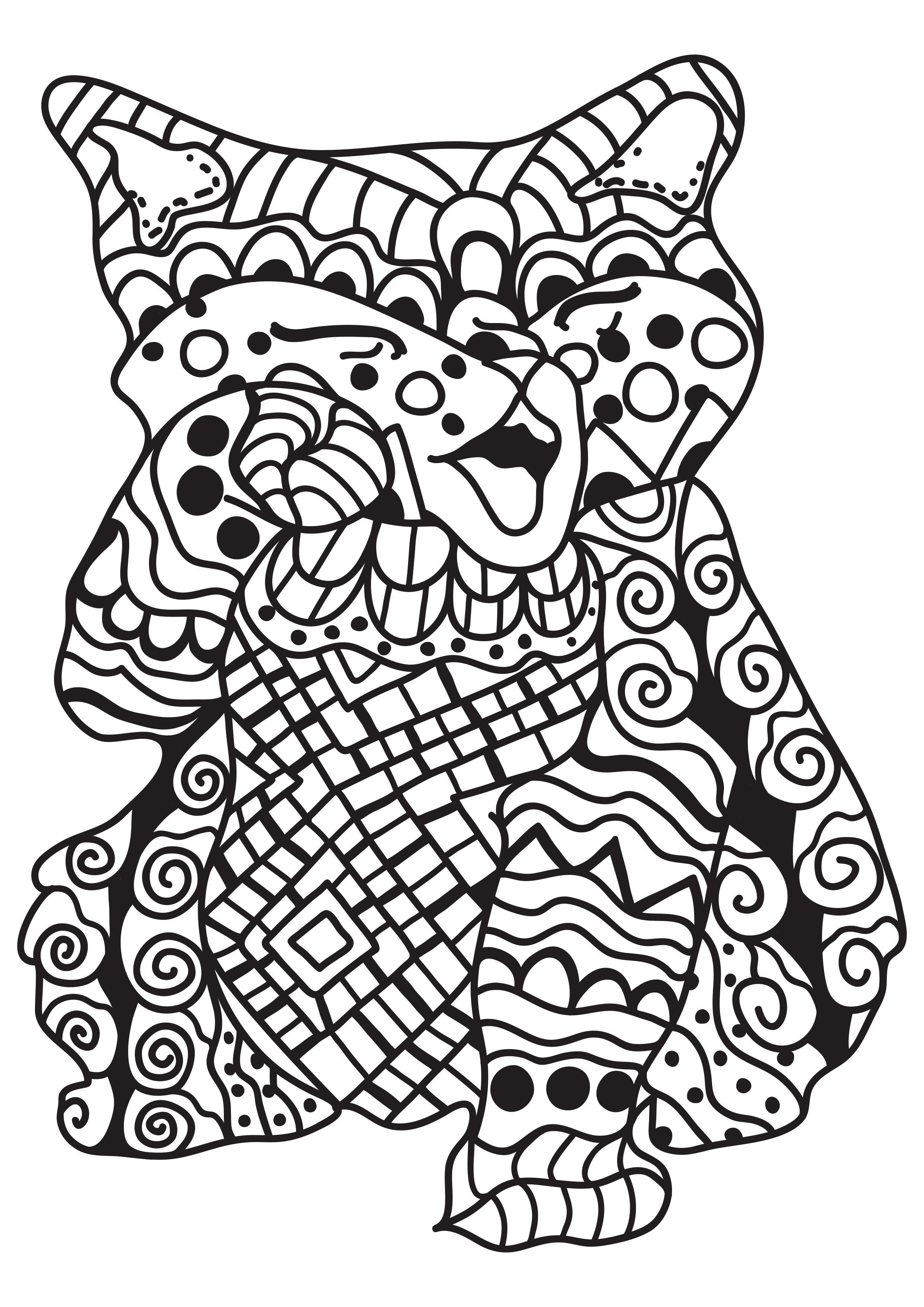 chat Coloriage chat
