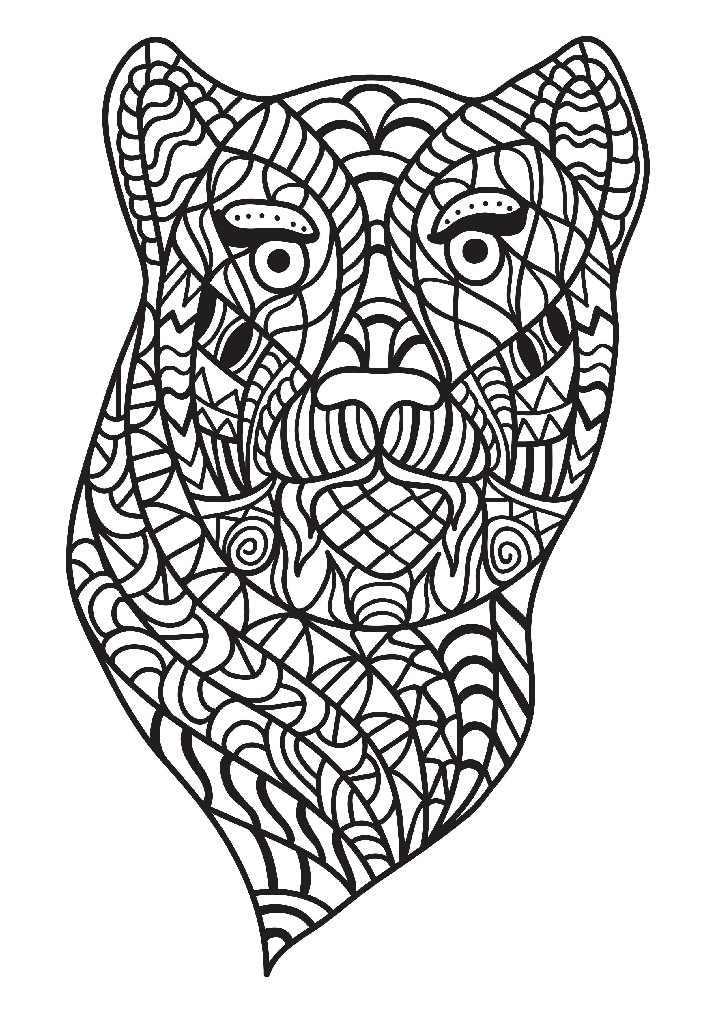chat Coloriage chat