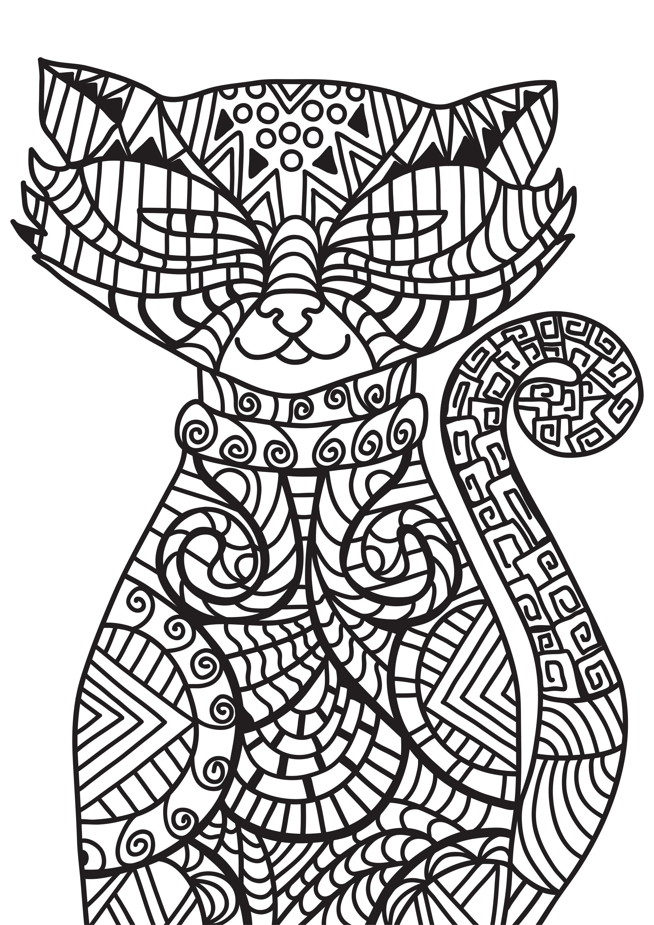 chat Coloriage chat