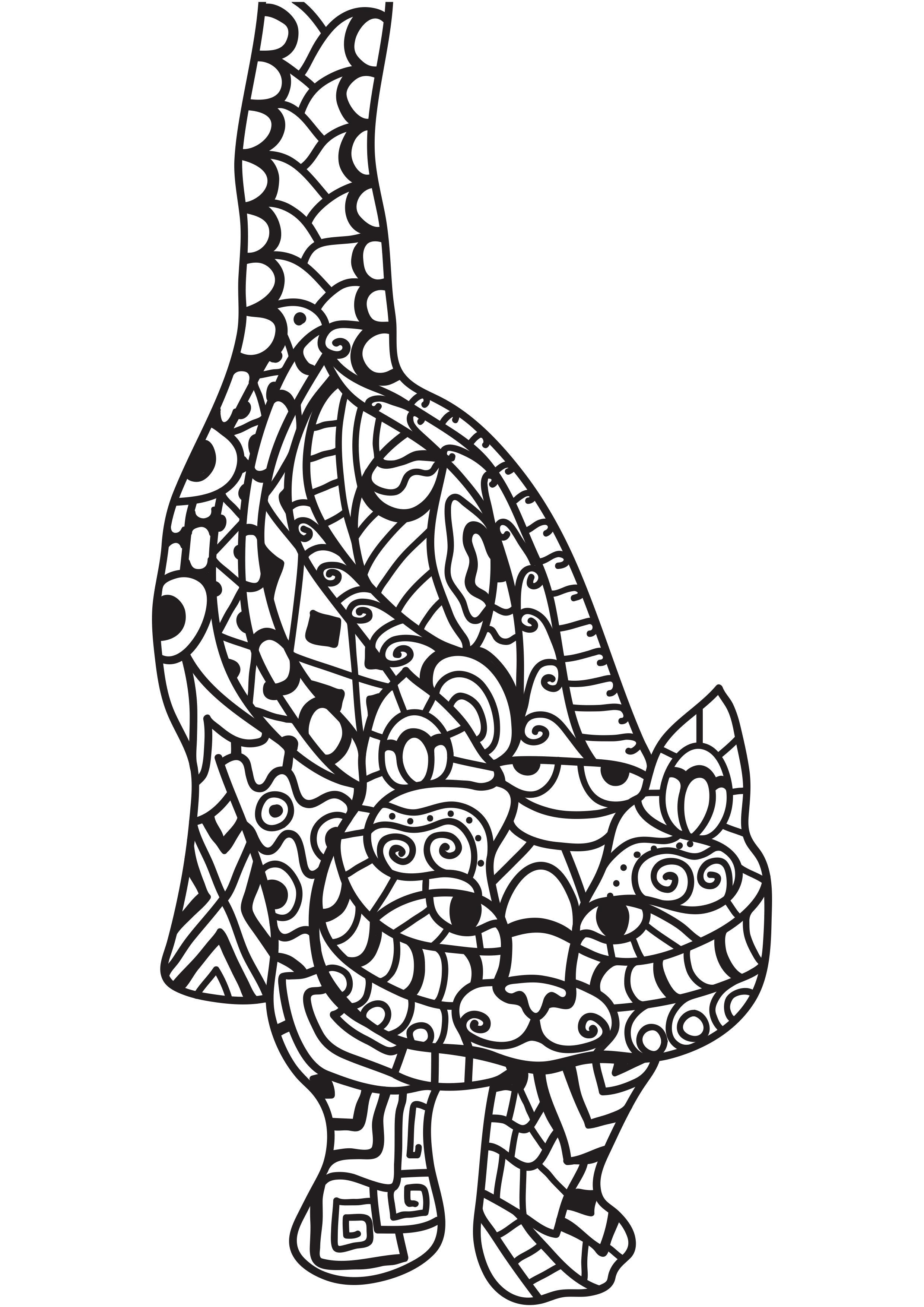 chat Coloriage chat