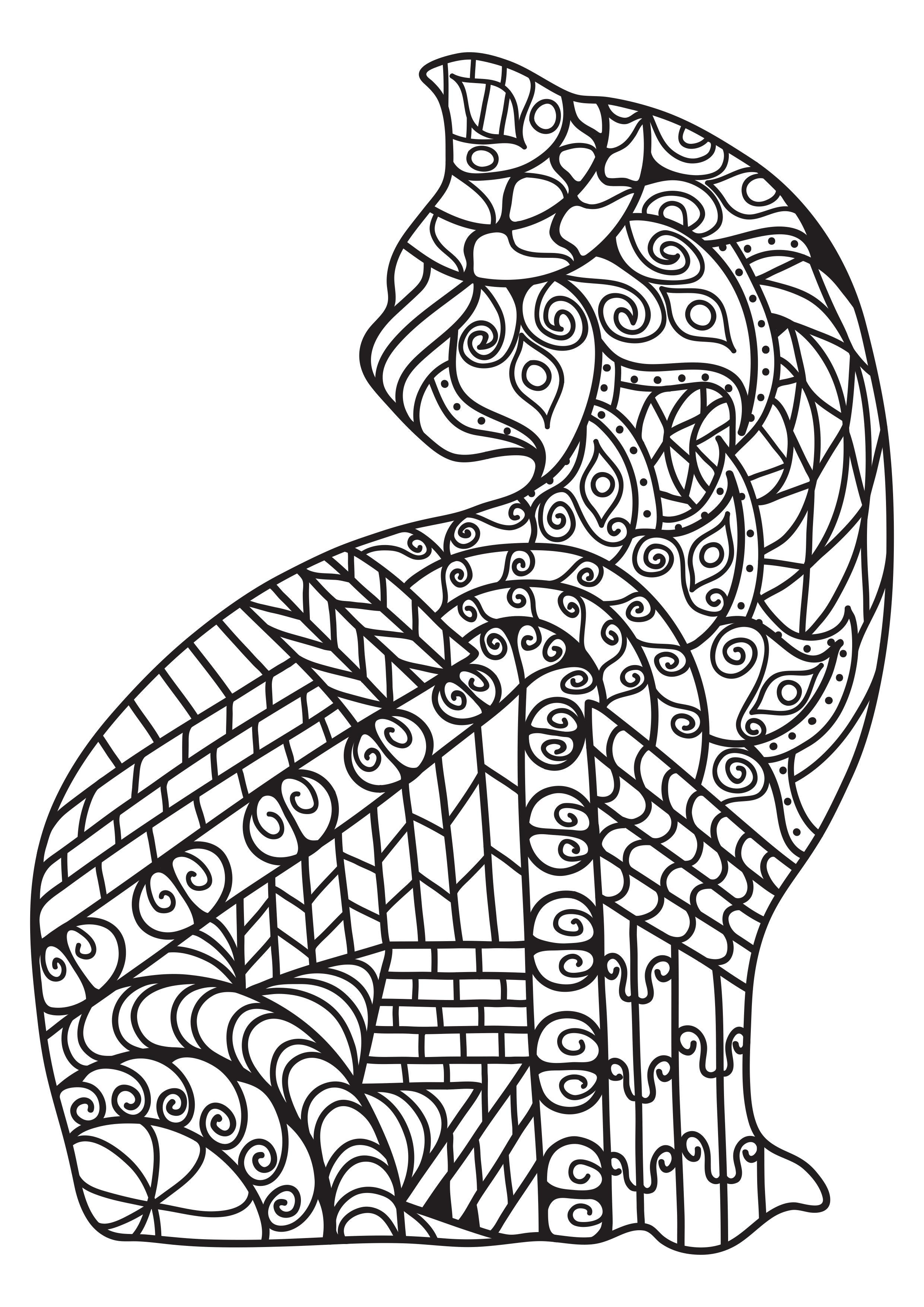 chat Coloriage chat