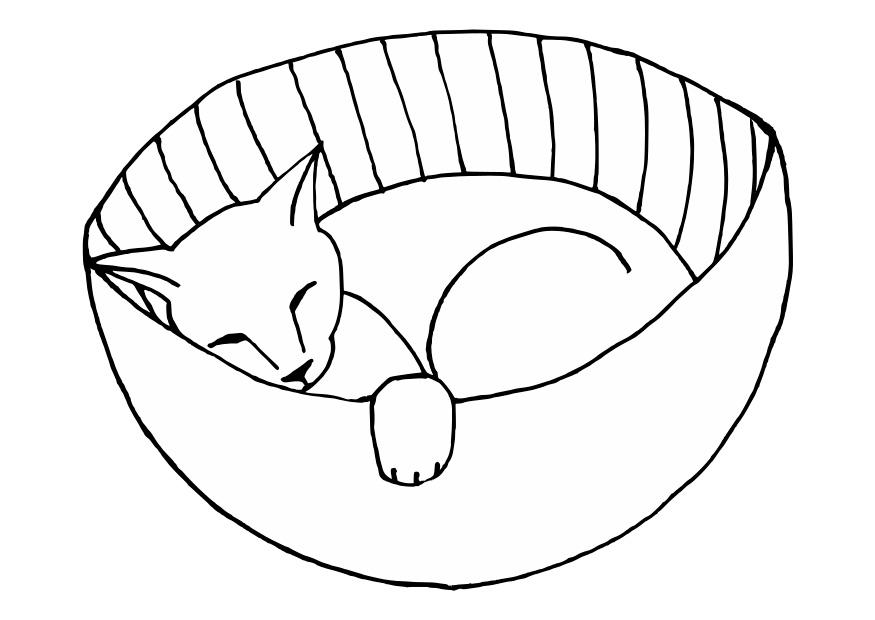 chat dormant Coloriage chat dormant