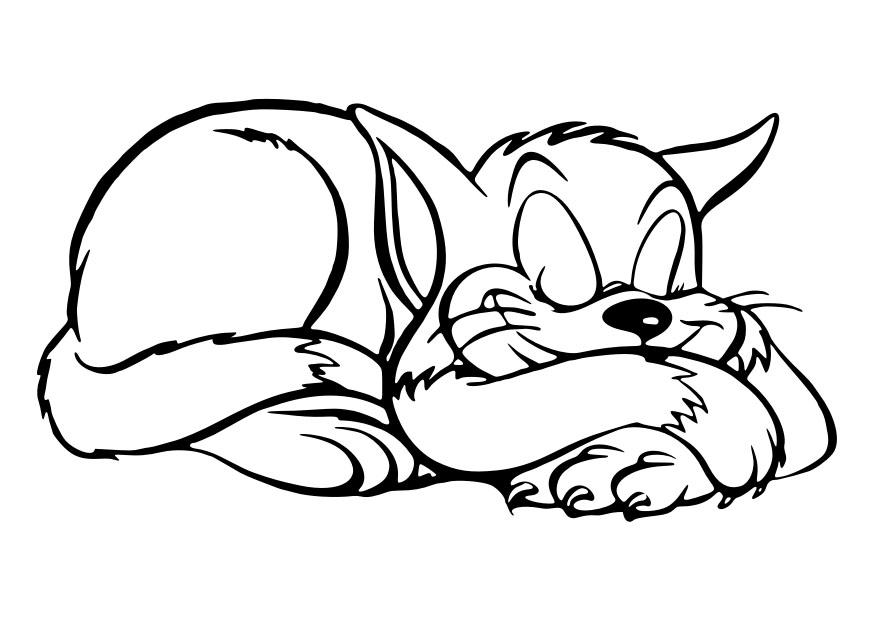 chat dormant Coloriage chat dormant
