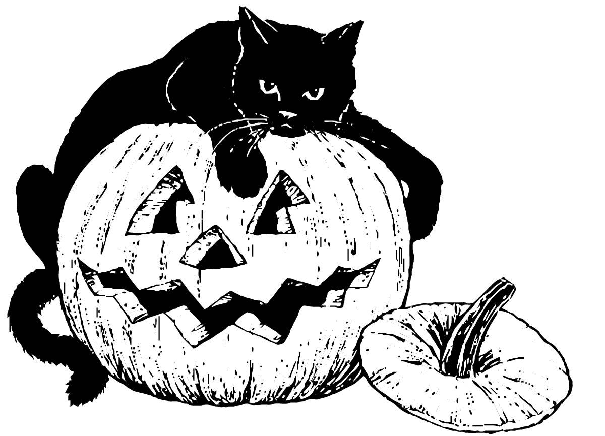 chat noir sur citrouille Coloriage chat noir sur citrouille