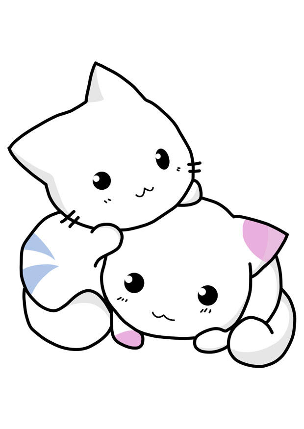 chatons Image chatons