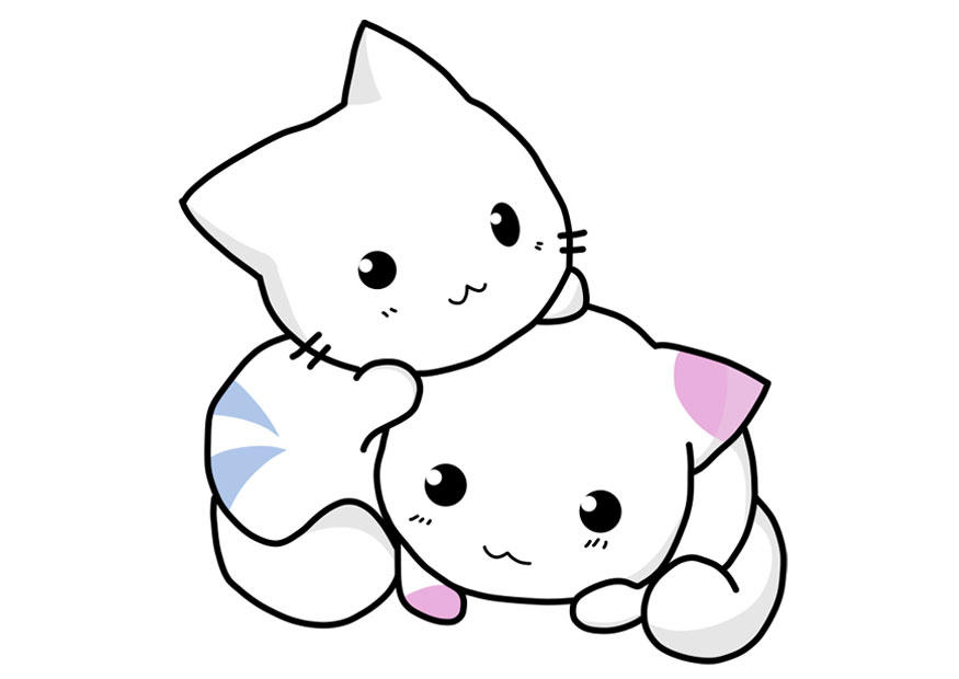 chatons Image chatons