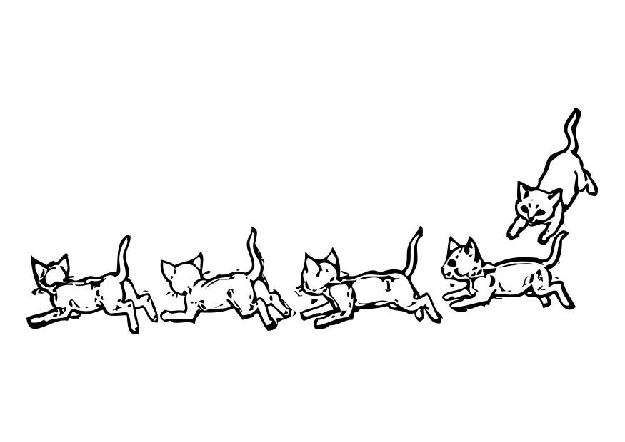 chats Coloriage chats