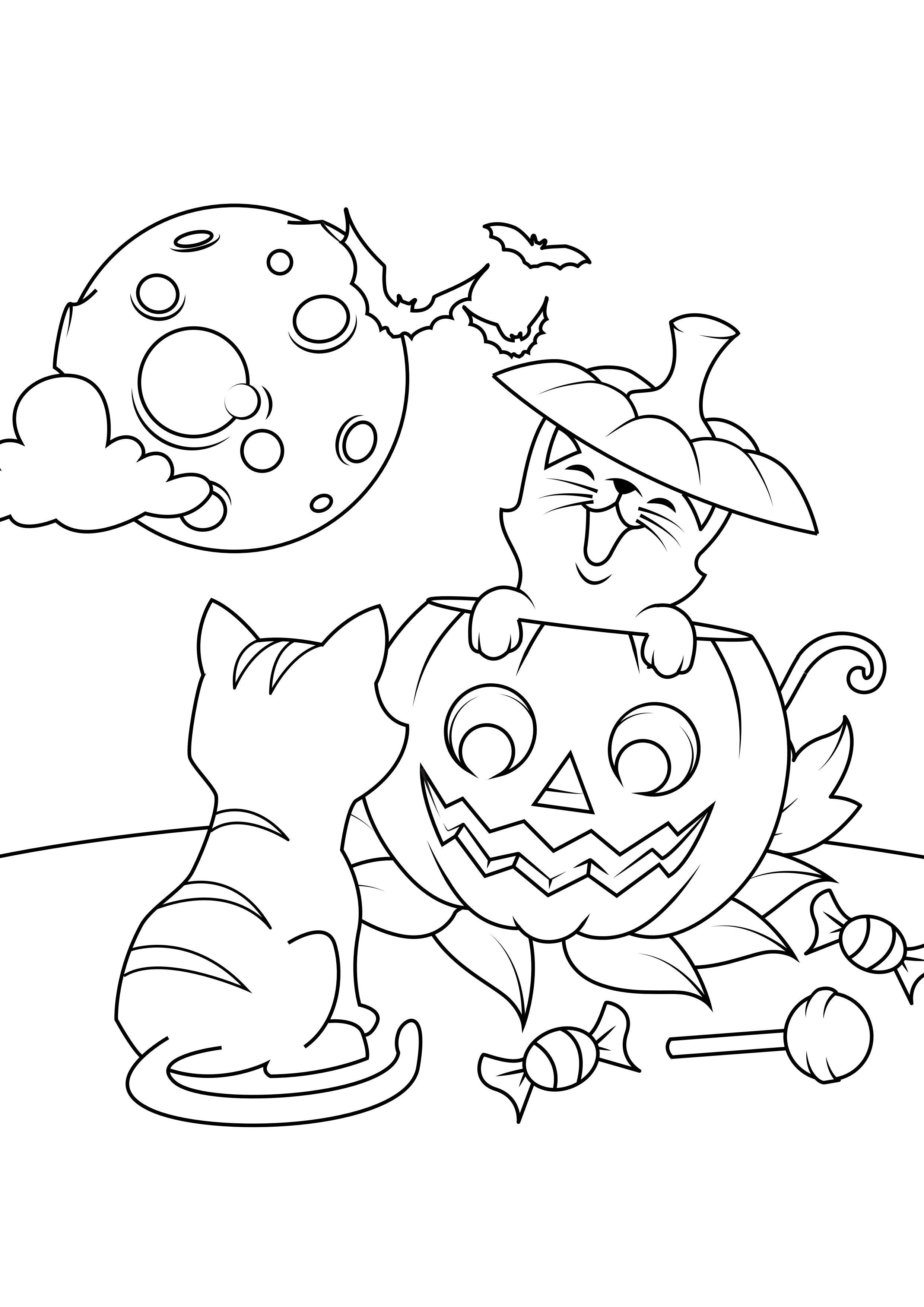 chats A la citrouille Coloriage chats A la citrouille