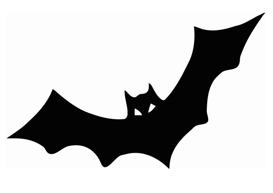 chauve-souris Coloriage chauve-souris