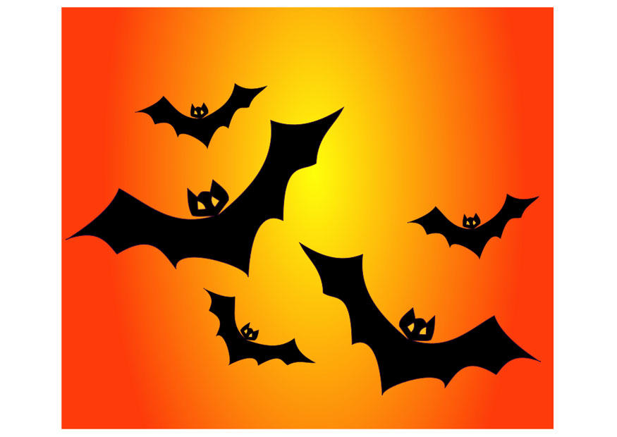chauves-souris Image chauves-souris
