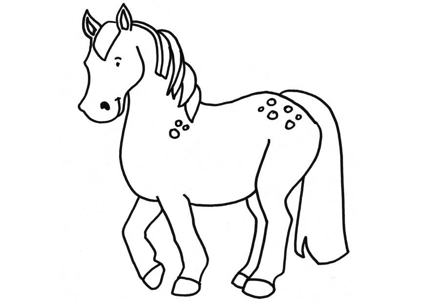cheval Coloriage cheval