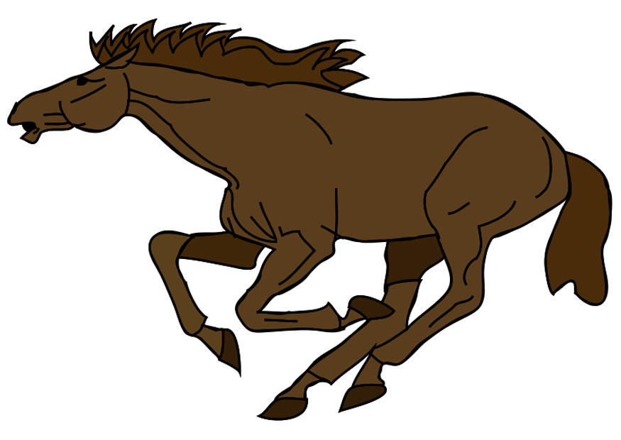 cheval Image cheval