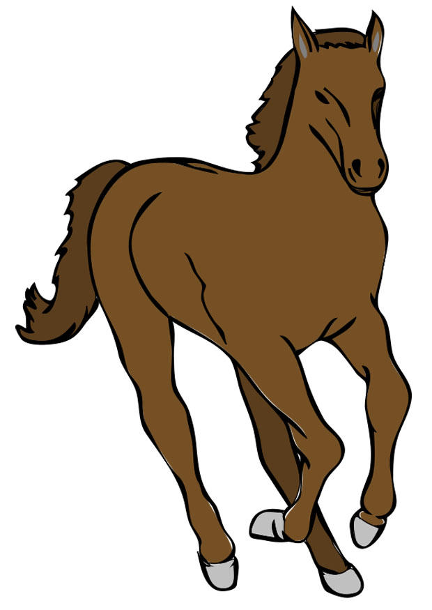cheval Image cheval