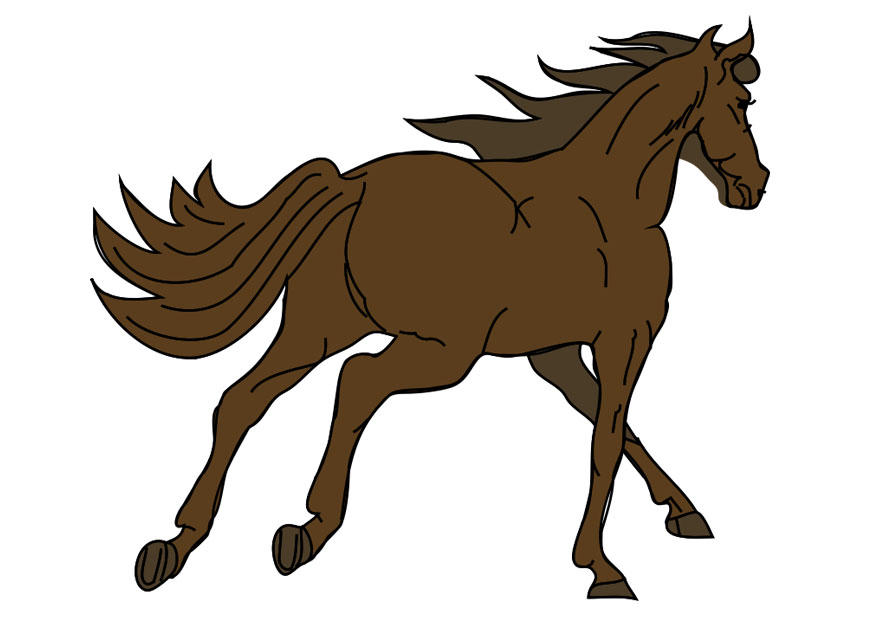 cheval Image cheval