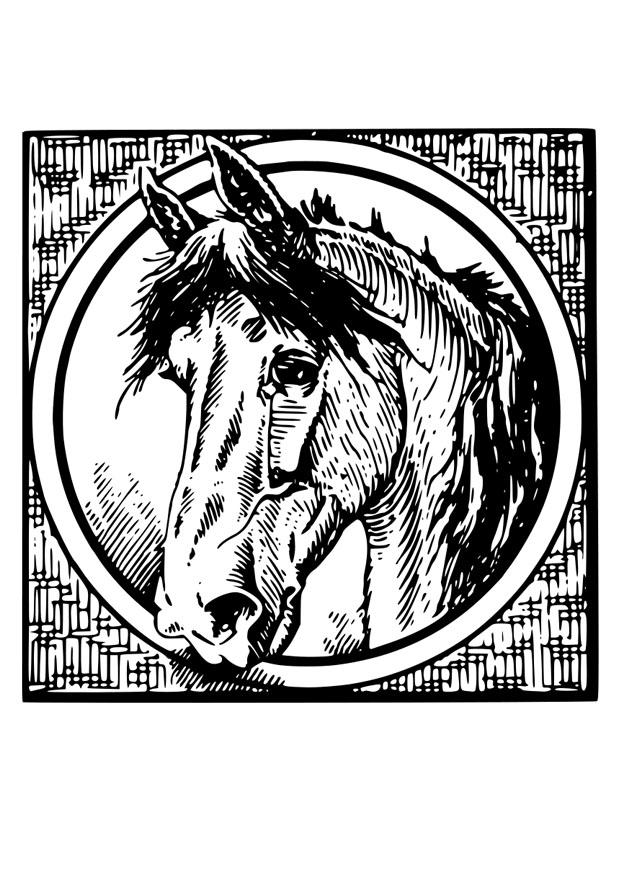 cheval Coloriage cheval