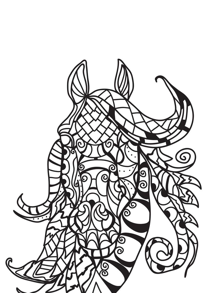 cheval Coloriage cheval