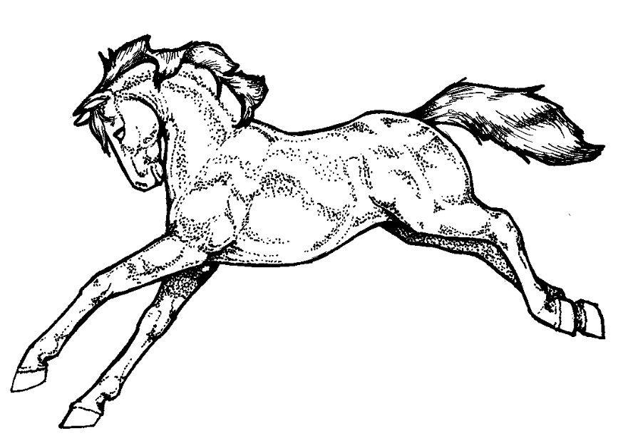 cheval Coloriage cheval