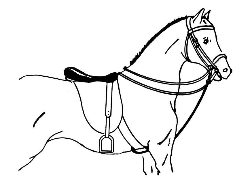 cheval sellA© Coloriage cheval sellA©