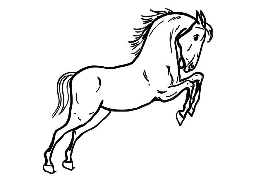 cheval sotant Coloriage cheval sotant