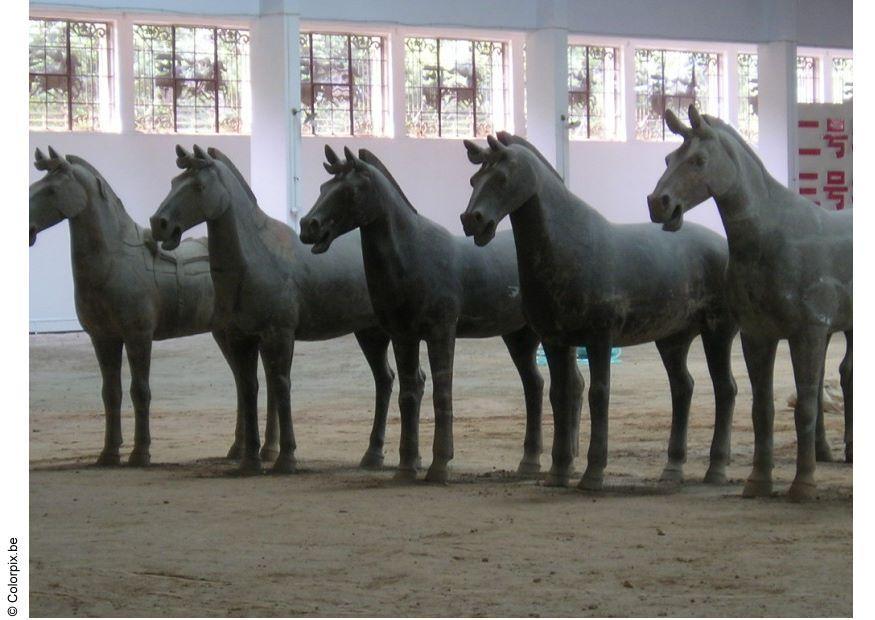 chevaux de xian Photo chevaux de xian