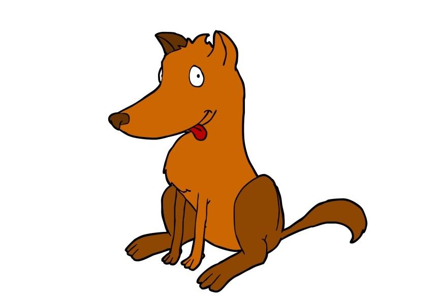 chien Image chien
