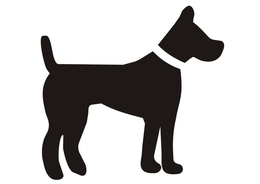 chien Coloriage chien